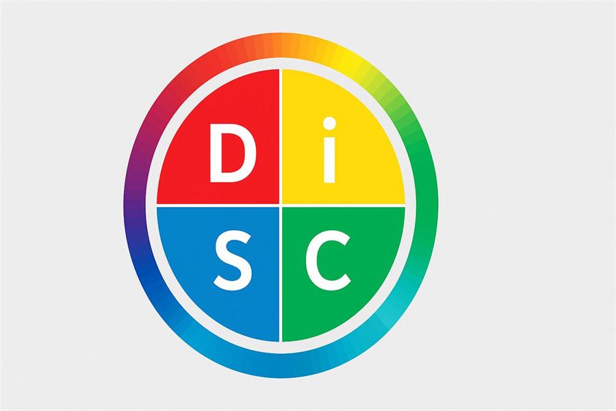 Everything disc - forstå din discprofil