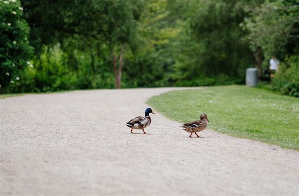 Udfold din kreativitet i Odense