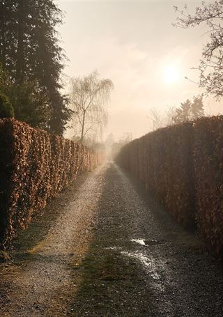 Hvorfor skal du flytte til Ballerup?