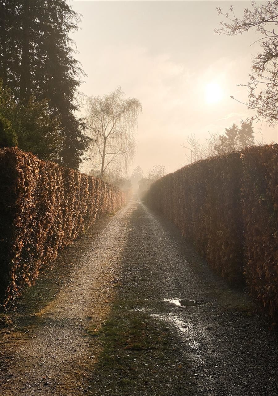 Hvorfor skal du flytte til Ballerup?