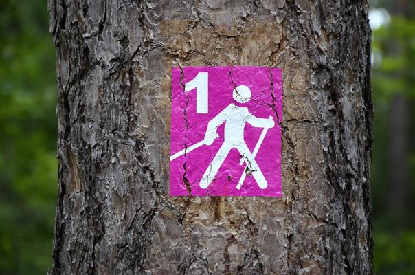 Sådan kan piktogrammer give struktur i barnets hverdag