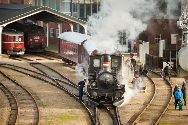 Aktiviteter for hele familien