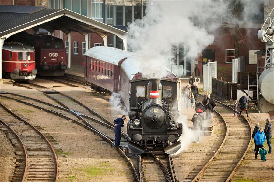 Aktiviteter for hele familien